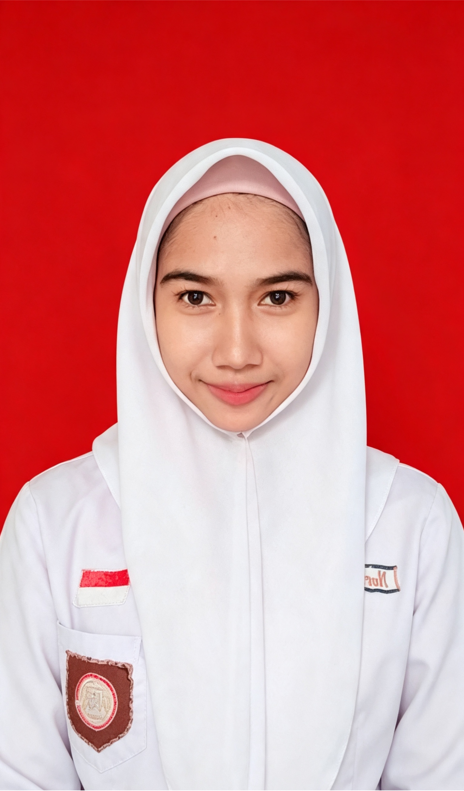NUR SALFIN