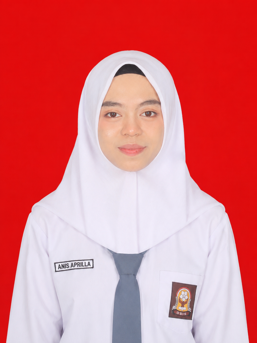 ANIS APRILLA