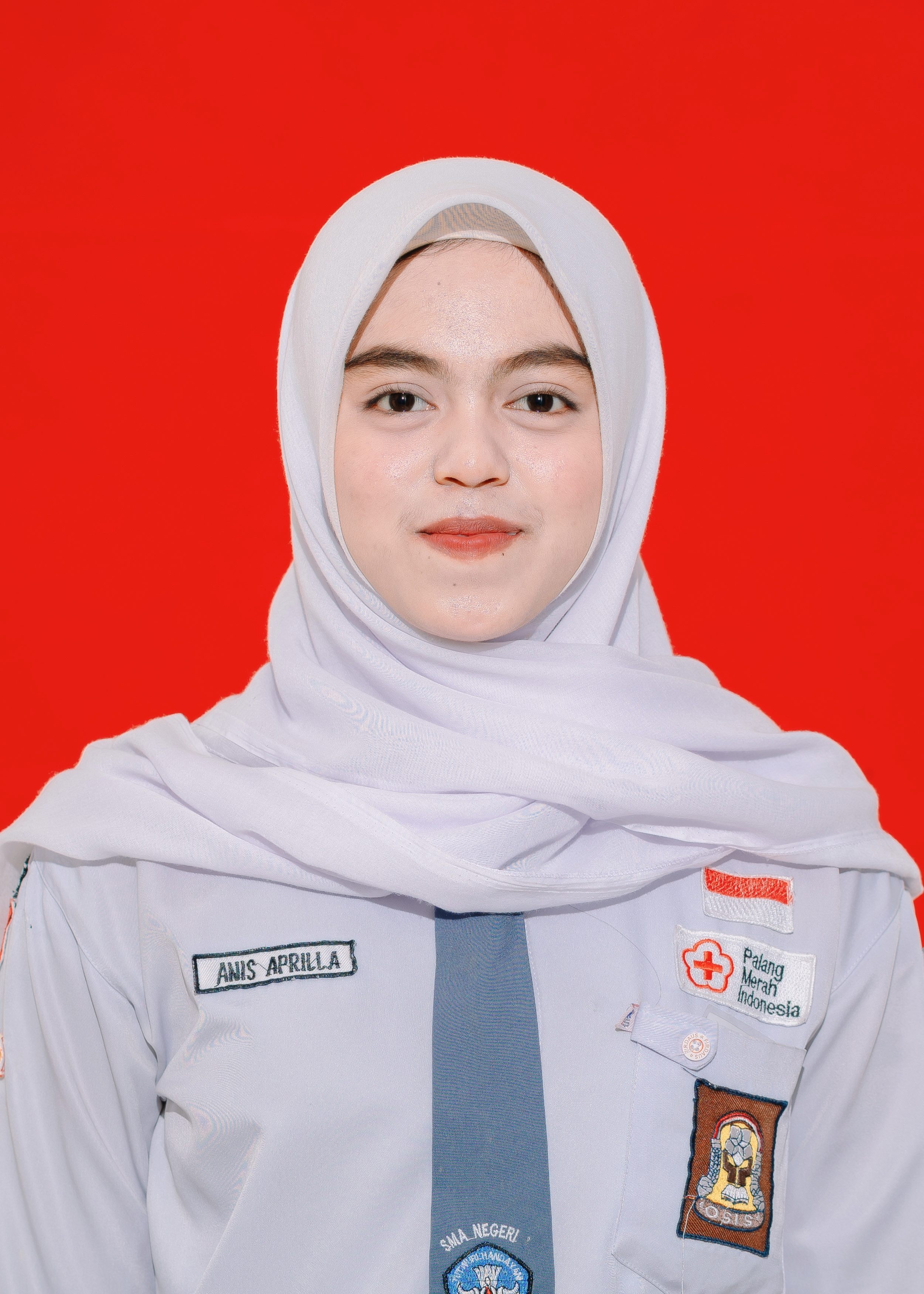 ANIS APRILLA