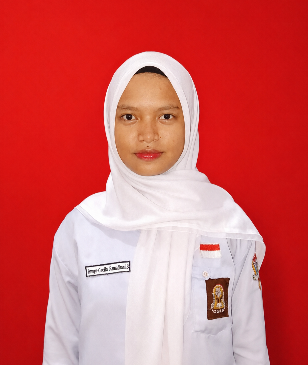 ANNYA CERELIA RAMADHANI.S