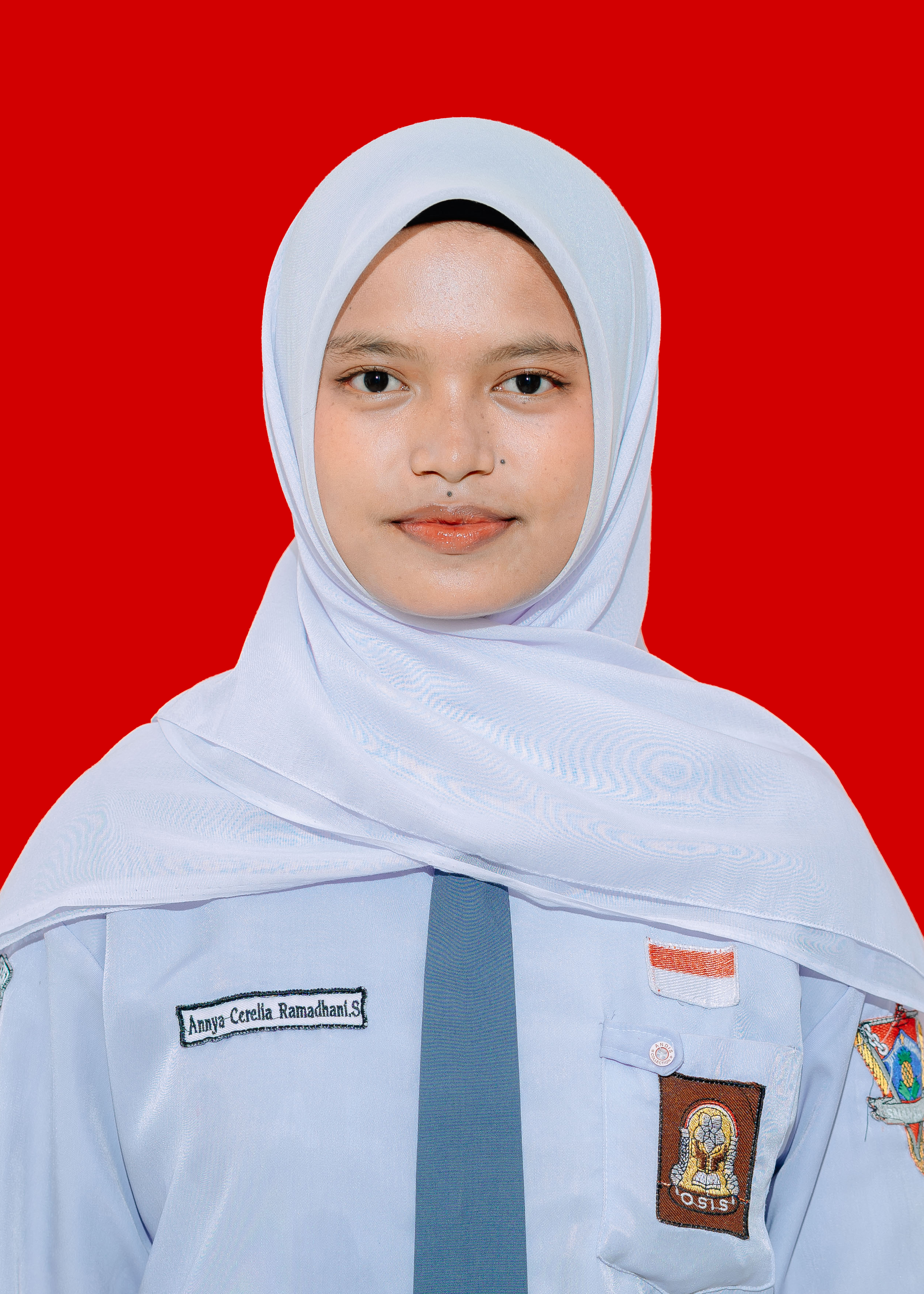 ANNYA CERELIA RAMADHANI.S