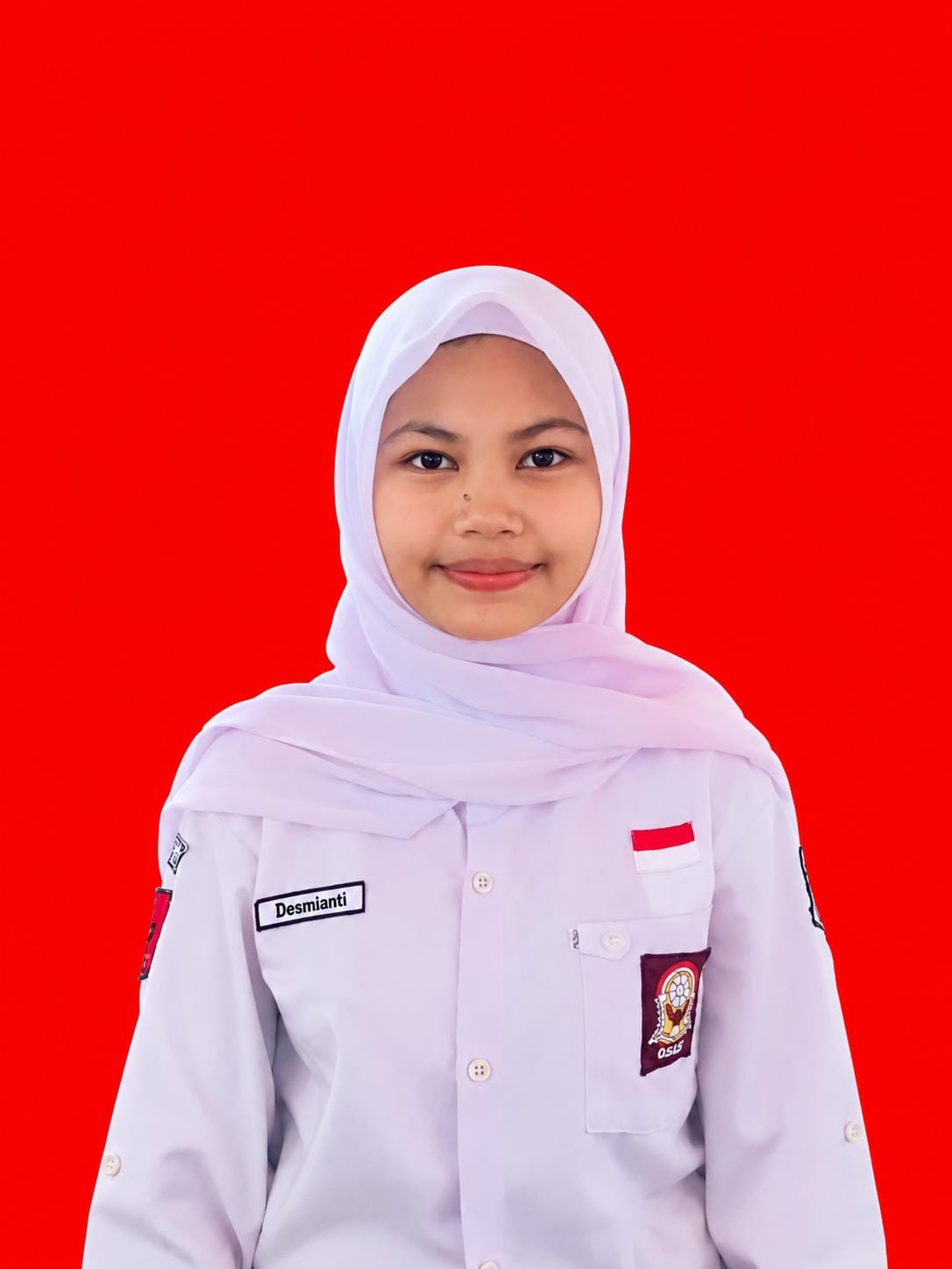 Desmianti