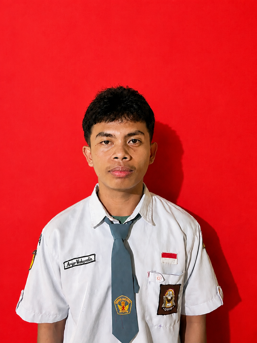 ARYA WAHYUDIN
