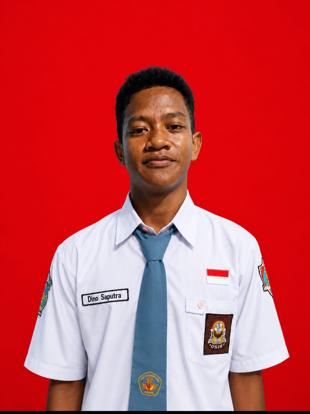 Dino Saputra