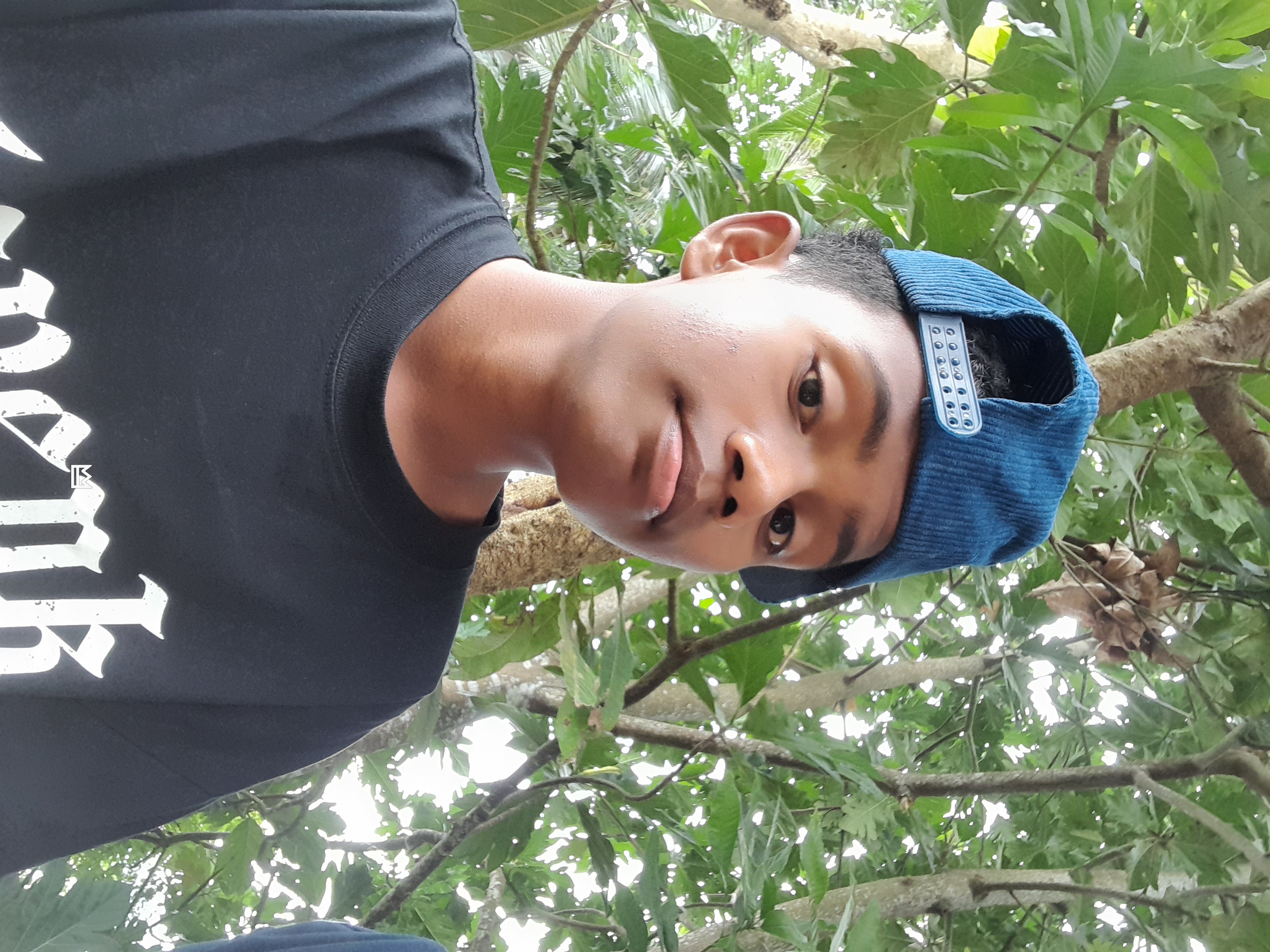 WAHYU ANDREANAS N.