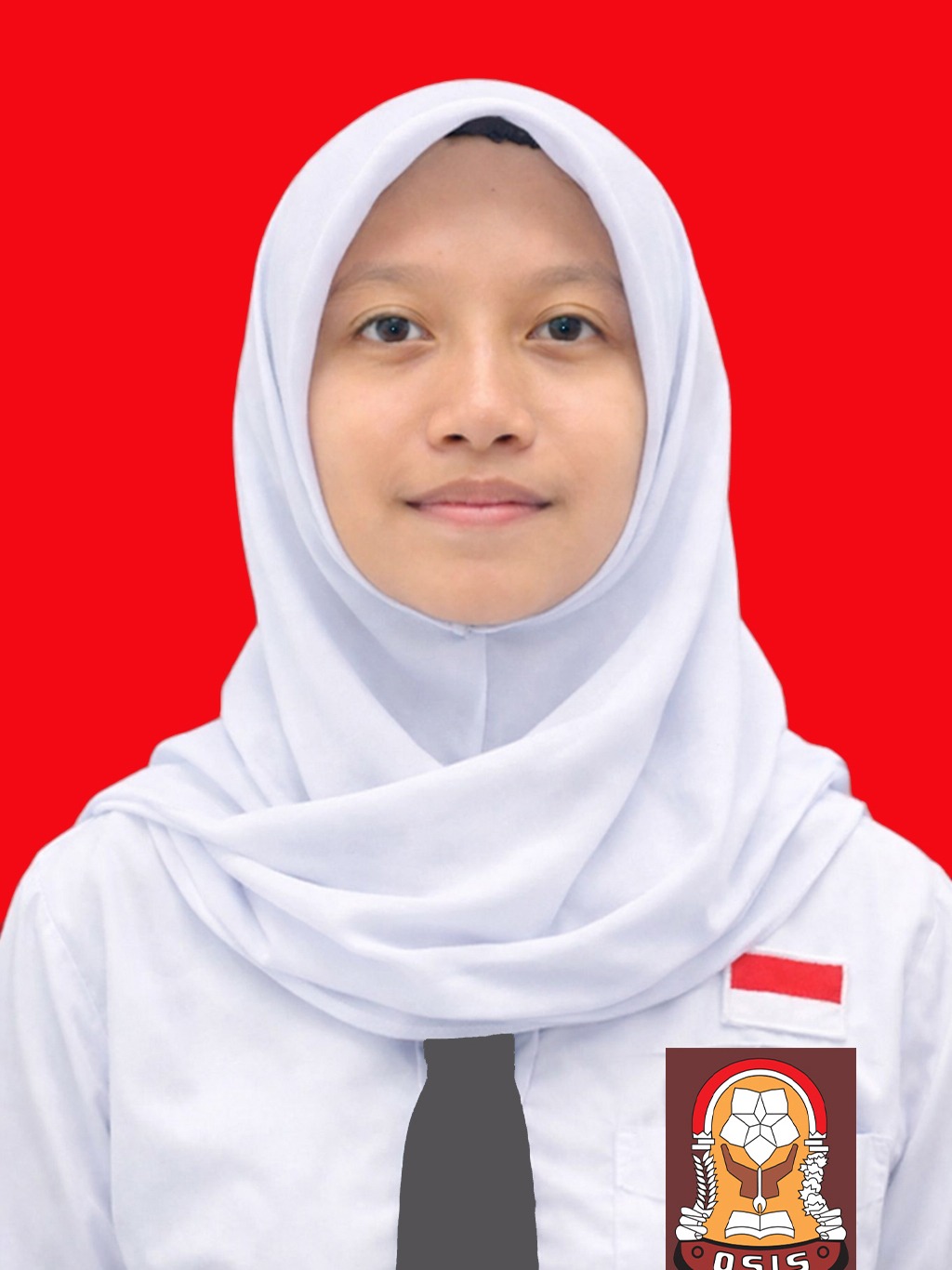 Adisra Enggraina Rusdin