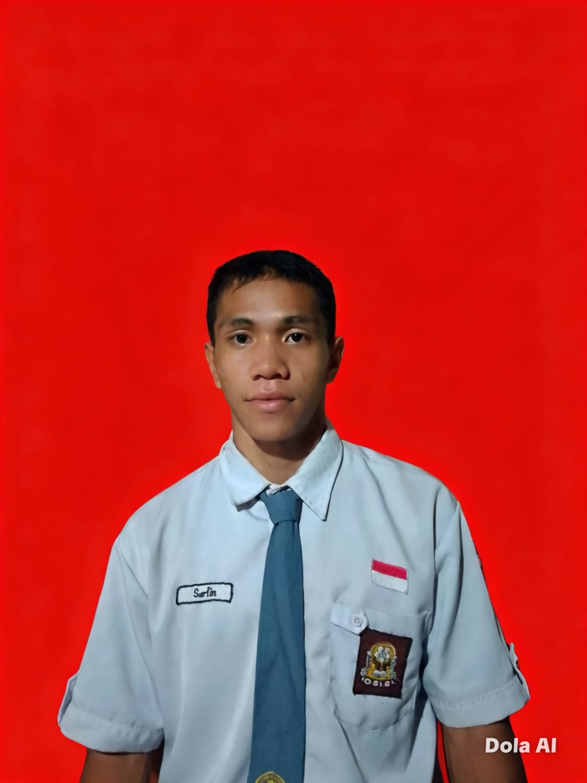 Sarlin