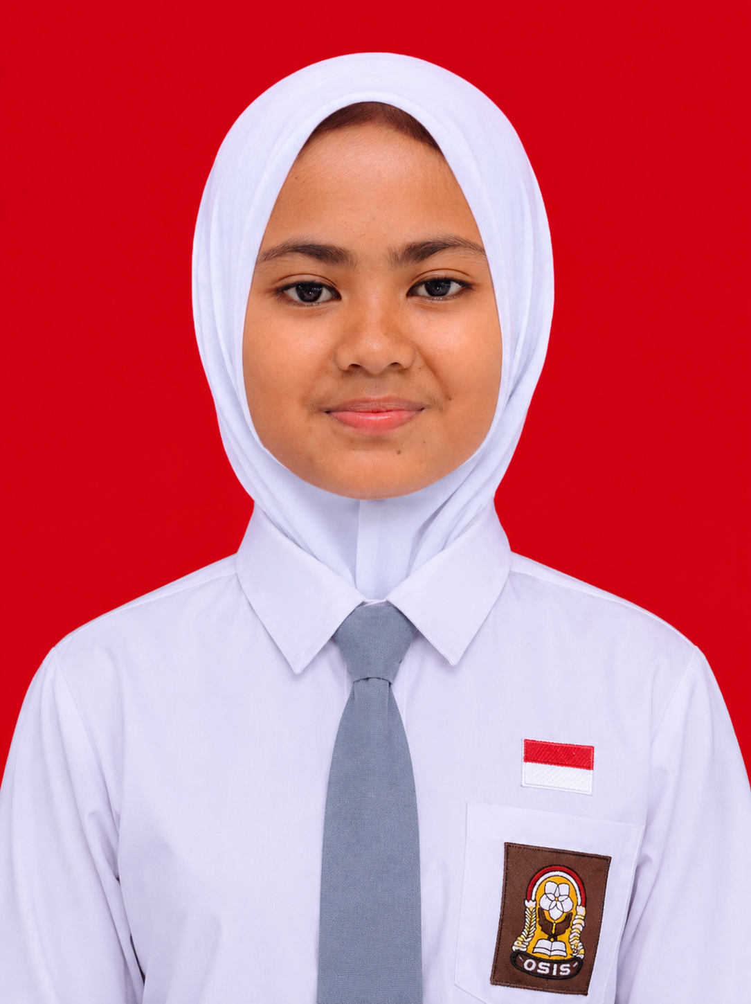 Revi Meriska