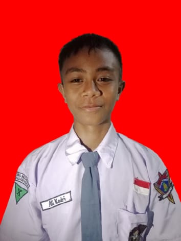 Ali Kodri