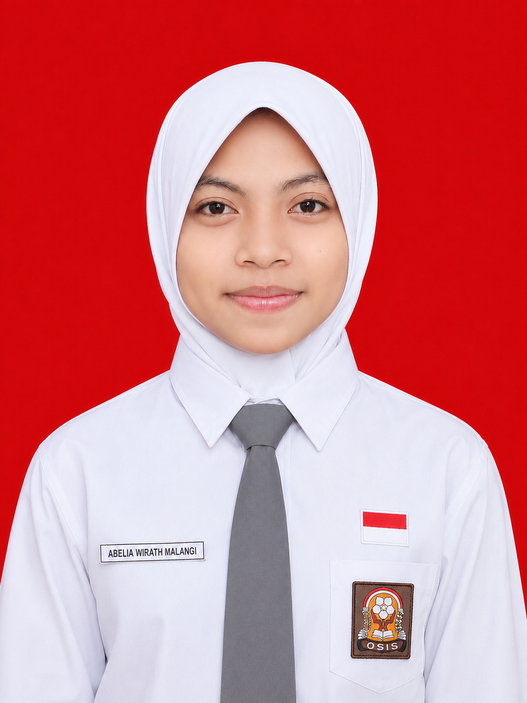 ABELIA WIRATH MALANGI