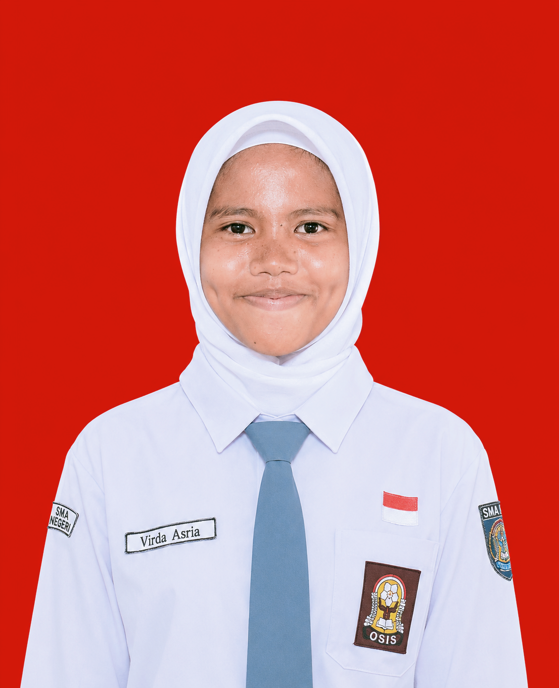 VIRDA ASRIA